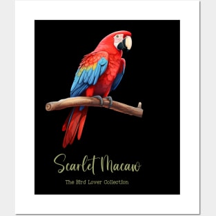 Scarlet Macaw - The Bird Lover Collection Posters and Art